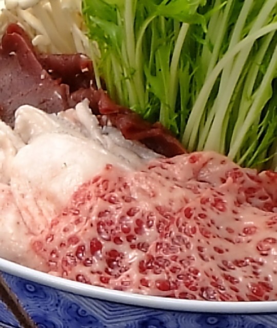 imgi_95_76167998
